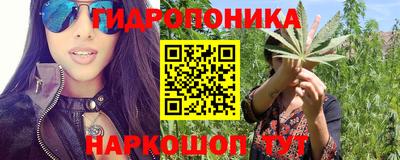 индика Свободный
