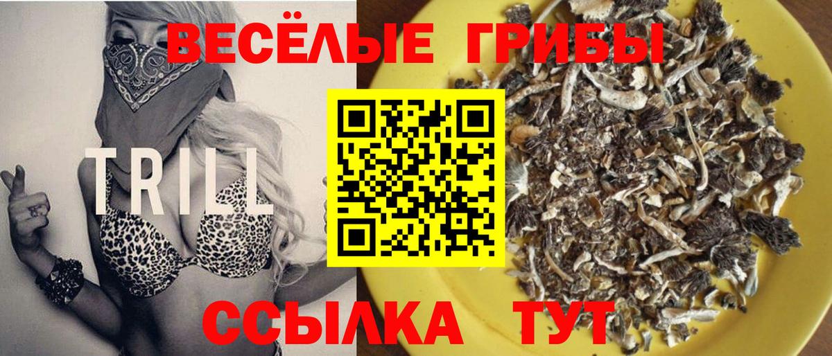 Галлюциногенные грибы мухоморы  где найти наркотики  Элиста  Вход с VPN  Галлюциногенные грибы мухоморы 